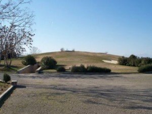 Vergina
